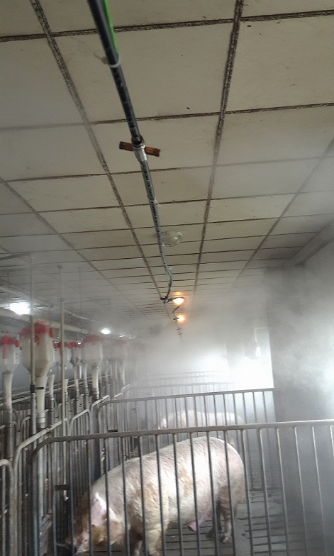 养殖场降温消毒喷雾机